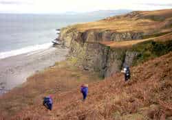 the beach below the clifs